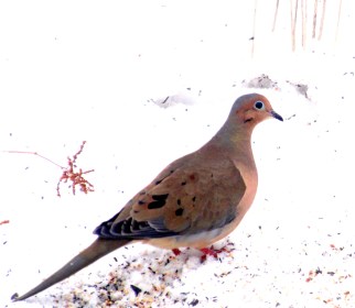 WRITE 28 DAYS: DREAM POEMS – Day 22