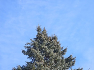 LINK FEST: 27 FEBRUARY 2024