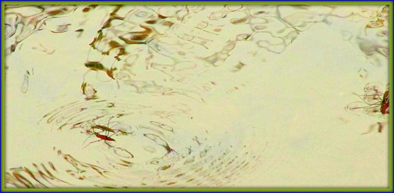 WRITE 28 DAYS: DREAM POEMS – Day 5