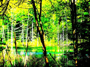 WRITE 28 DAYS: DREAM POEMS – Day 2