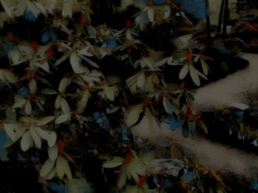 WRITE 28 DAYS: DREAM POEMS – Day 19