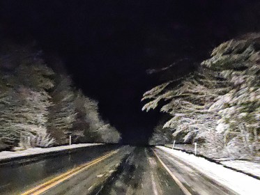 LINK FEST: 12 MARCH 2024