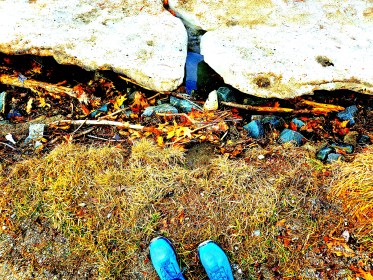 LINK FEST: 19 MARCH 2024