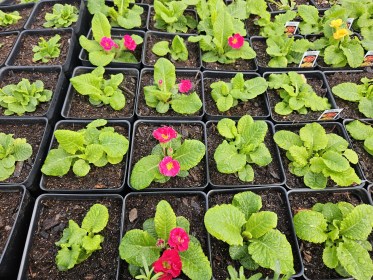 LIMINAL LIVING #9: 26 FEB to 3 MARCH 2024