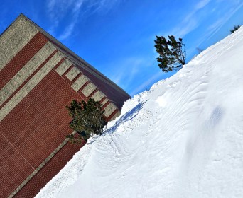 LINK FEST: 26 MARCH 2024