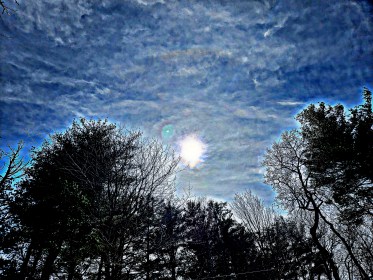 LINK FEST: 16 APRIL 2024