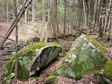 LIMINAL LIVING #16: 15 APRIL TO 21 APRIL 2024