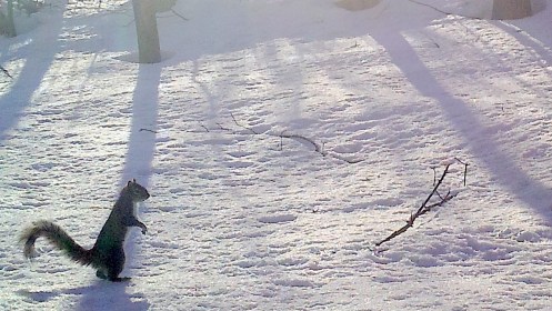 LINK FEST: 2 APRIL 2024