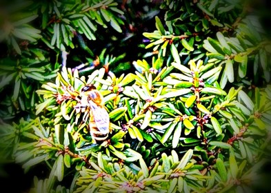 LINK FEST: 30 APRIL 2024