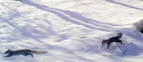 LIMINAL LIVING #13: 25 MARCH TO 31 MARCH 2024