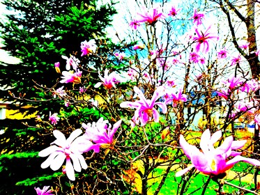 LIMINAL LIVING #18: 29 APRIL to 5 MAY 2024