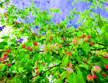 LIMINAL LIVING #20: 13 MAY to 19 MAY 2024