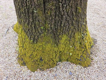 LINK FEST: 21 MAY 2024