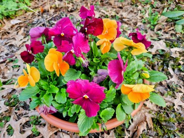 LINK FEST: 7 MAY 2024