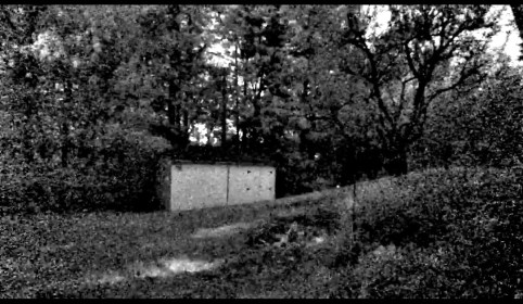 LINK FEST: 28 MAY 2024