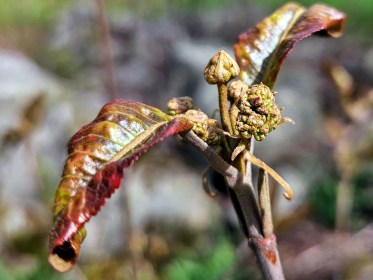 LIMINAL LIVING #19: 6 MAY to 12 MAY 2024