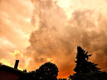 LINK FEST: 2 JULY 2024