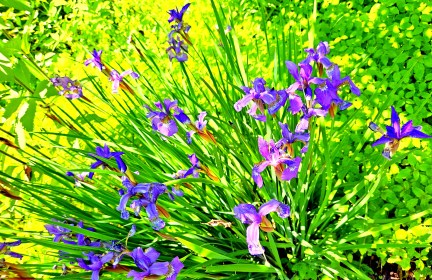 LINK FEST: 25 JUNE 2024