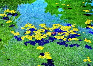 LINK FEST: 4 JUNE 2024