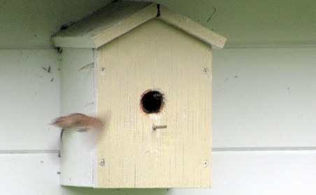 LINK FEST: 11 JUNE 2024