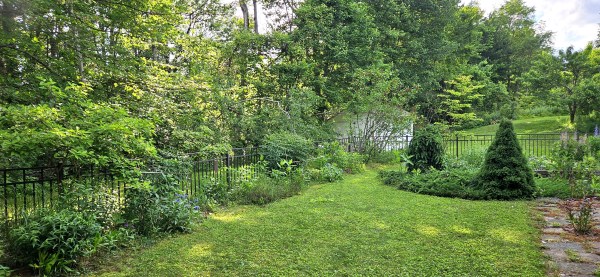 LIMINAL LIVING #24: 10 JUNE TO 16 JUNE 2024