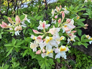 LIMINAL LIVING #22: 27 MAY TO 2 JUNE 2024