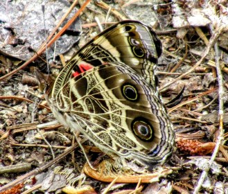 LIMINAL LIVING #27: 1 JULY TO 7 JULY 2024