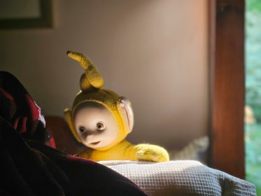 LINK FEST: 6 AUGUST 2024