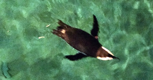 LINK FEST: 9 JULY 2024