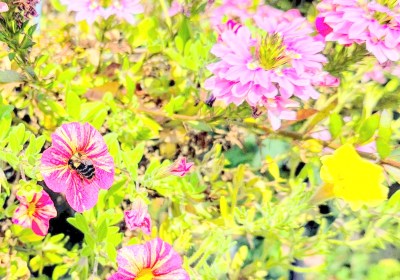 LIMINAL LIVING #30: 22 JULY TO 28 JULY 2024