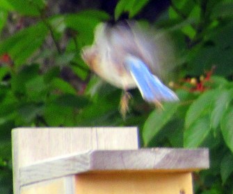 LIMINAL LIVING #29: 15 JULY TO 21 JULY 2024