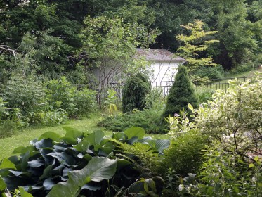 LIMINAL LIVING #26: 23 JUNE TO 30 JUNE 2024