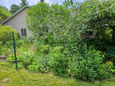 LIMINAL LIVING #28: 8 JULY to 14 JULY 2024