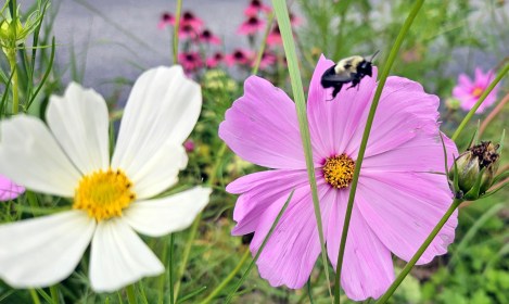 LIMINAL LIVING #34: 19 AUGUST to 25 AUGUST 2024