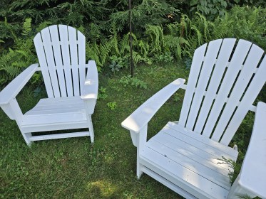 LINK FEST: 27 AUGUST 2024