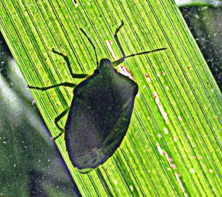 LINK FEST: 3 SEPT 2024