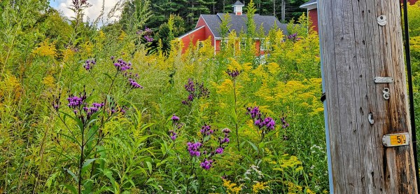 LINK FEST: 17 SEPTEMBER 2024