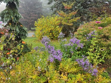 LIMINAL LIVING #41: 7 OCTOBER TO 13 OCTOBER