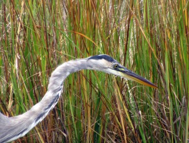 LIMINAL LIVING #39: 23 SEPTEMBER TO 29 SEPTEMBER 2024