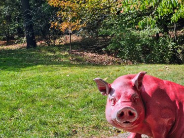 LIMINAL LIVING #40: 30 SEPTEMBER TO 6 OCTOBER 2024