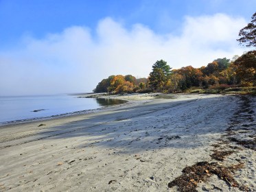 LIMINAL LIVING #43: 21 OCTOBER TO 27 OCTOBER 2024