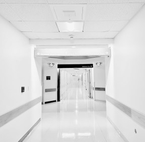 LINK FEST: 19 NOVEMBER 2024