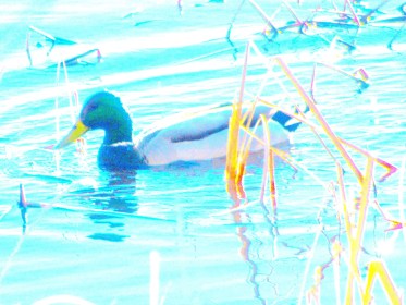 LINK FEST: 26 NOVEMBER 2024