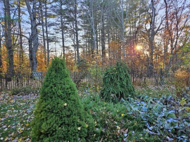 LIMINAL LIVING #44: 28 OCTOBER TO 3 NOVEMBER 2024