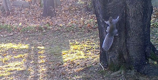 LIMINAL LIVING #47: 18 NOVEMBER TO 24 NOVEMBER 2024