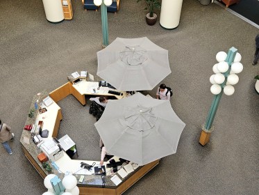 LIMINAL LIVING #46: 11 NOVEMBER TO 17 NOVEMBER 2024