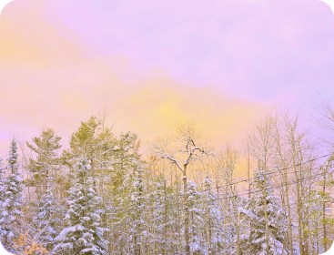 LINK FEST: 10 DECEMBER 2024