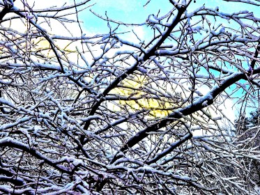 LINK FEST: 24 DECEMBER 2024