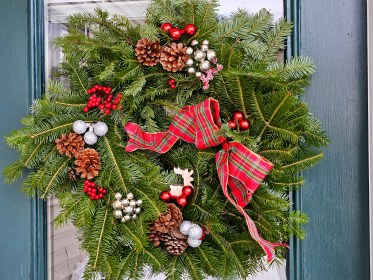 LIMINAL LIVING #49: 2 DECEMBER TO 8 DECEMBER 2024