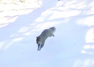 LINK FEST: 17 DECEMBER 2024